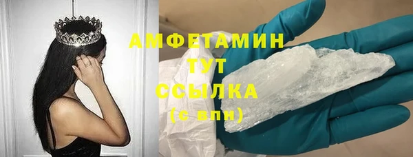 ГАЛЛЮЦИНОГЕННЫЕ ГРИБЫ Карталы
