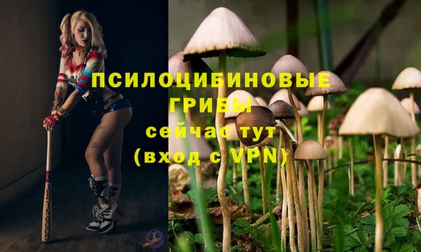 дурь Заволжск