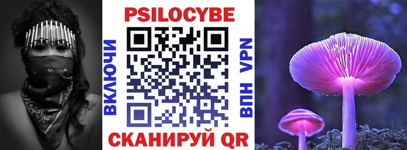 Псилоцибиновые грибы мицелий  где можно купить   Сольвычегодск 